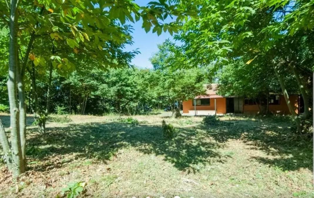 Finca La Casita ลาโอโรตาวา ภายนอก รูปภาพ