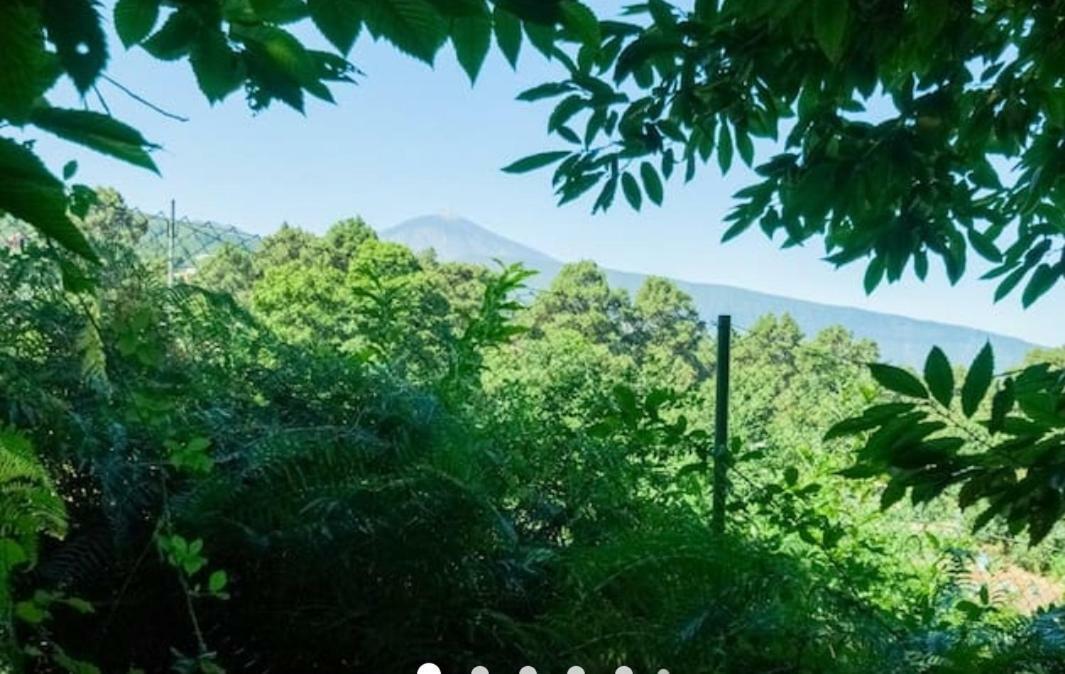 Finca La Casita ลาโอโรตาวา ภายนอก รูปภาพ